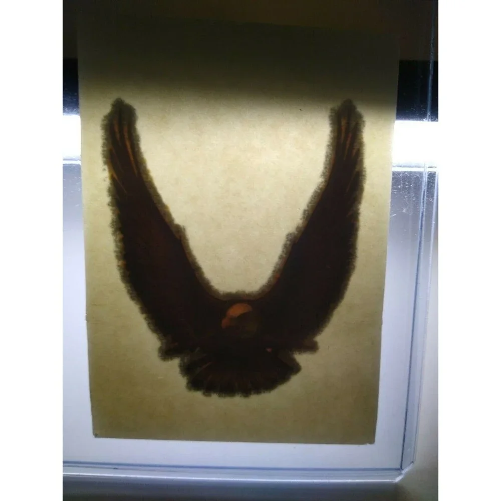 Screamin Gleamin Glitter Iron-On Transfer Decal Donruss 1970s Chevy Camaro Eagle